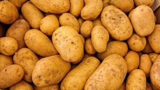 В Крыму резко подорожали картофель, помидоры и огурцы