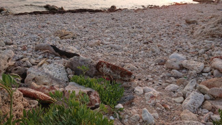 Отдыхающий нашёл бомбу на пляже в Севастополе