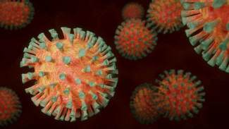 Более 800 человек с коронавирусом выявили в Крыму за сутки 