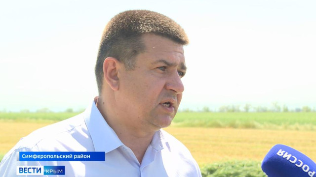 Рекордный урожай кормовых культур ожидается в Крыму