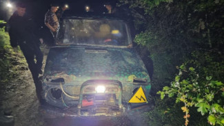 Сотрудники полиции нашли убийц благородного оленя в Крыму