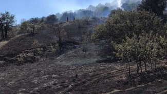 Огнеборцы предотвратили лесной пожар под Судаком