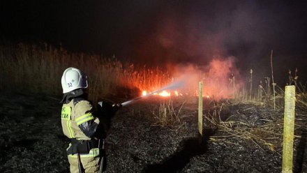 В Крыму произошло более 100 пожаров