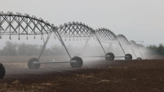 Крымские фермеры засевают поля сахарной свеклой