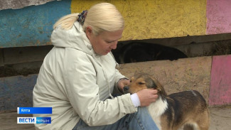 200 бездомных собак в Ялте нуждаются в помощи