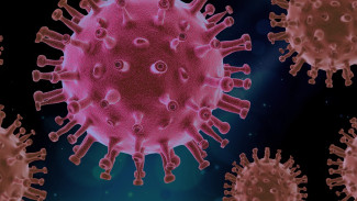 За сутки в Крыму выявили менее 90 случаев коронавируса 