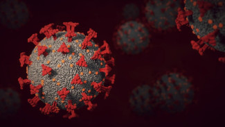 Почти две сотни крымчан заболели коронавирусом за сутки