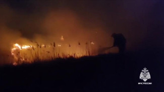 МЧС Крыма ликвидировало возгорание камыша в Советском районе 