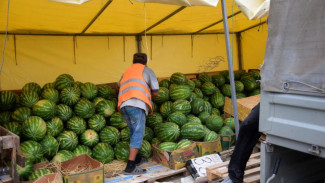 Две тонны арбузов и дынь изъяли у торговцев в Симферополе