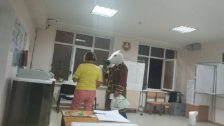В Ялте на избирательный участок пришёл "конь в пальто"