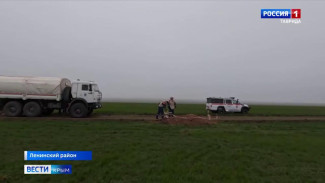В Ленинском районе сотрудники ГУ МЧС России уничтожили боеприпасы времен Великой Отечественной войны