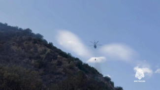 Ландшафтный пожар на горе Кастель локализовали 