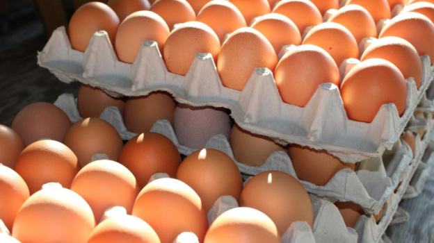 Чиновники заявили о снижении цен на куриные яйца в Крыму