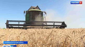 Крымские аграрии столкнулись с проблемой- высокой ценой на топливо