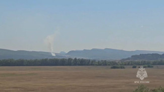 Пожар в селе Скалистое локализовали на площади 3,5 Га 