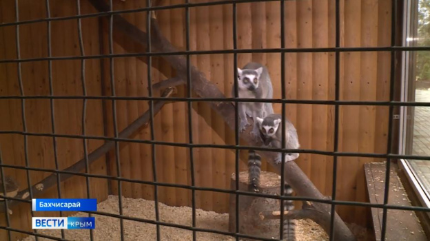 В крымском зоопарке установили обогреватели для лемуров и антилоп