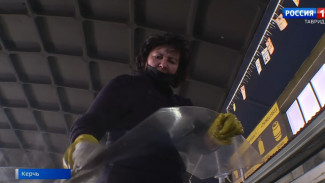 ВЕСТИ-КРЫМ: выпуск 25.01.2022 21:05