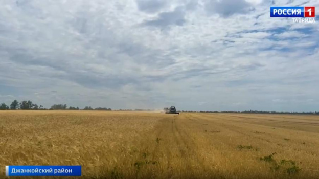 Аграрии Крыма намолотили 1,5 миллиона тонн зерна