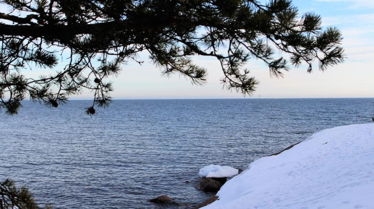 максимальная температура редуктора
