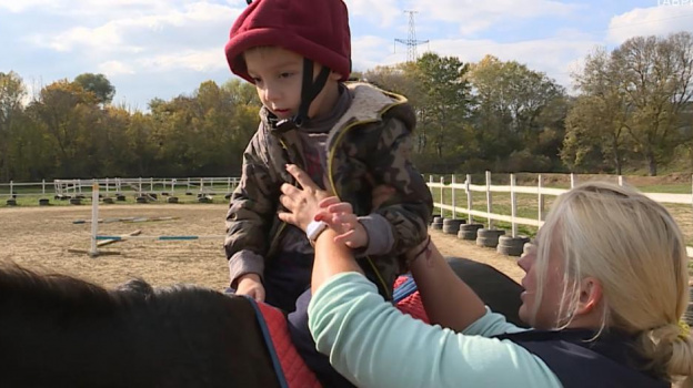 Крымская лошадь помогает побороть ДЦП 6-летнему мальчику
