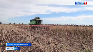 Немецкая техника помогает быстро собрать урожай подсолнечника в Крыму