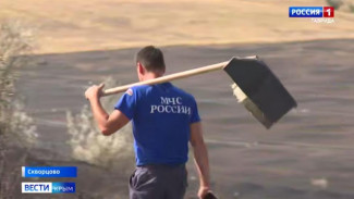 Масштабный пожар в Симферопольском районе полностью ликвидирован