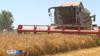 Новые технологии повысили урожайность в Крыму