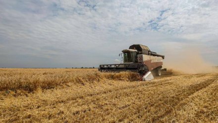  В Крыму собрали больше 1 миллиона тонн зерновых и зернобобовых культур