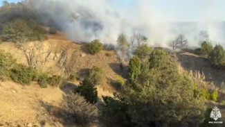 Пожарные 12 часов тушили лесной пожар в Судаке 