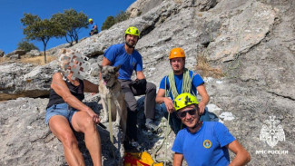 В Судаке женщина с собакой застряли в горах