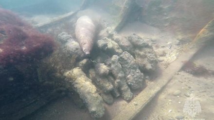 В Крыму за 2025 год уничтожили почти 1,5 тысячи взрывоопасных предметов  