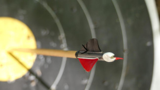  В Симферополе прошёл Кубок Крыма по стрельбе из лука