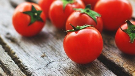 Турецкая компания начнет выращивать помидоры в Крыму
