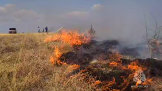 В Симферопольском районе локализован крупный пожар сухостоя