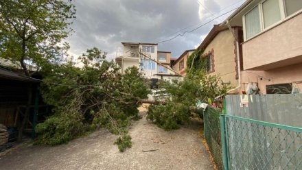 В Алупке сорвало часть крыши в Доме культуры из-за урагана