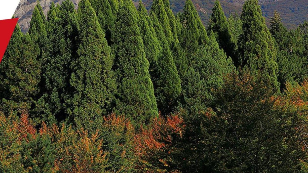 Женщине стало плохо во время подъема на Чатыр-Даг