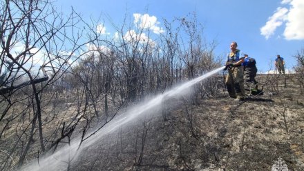 Крупный ландшафтный пожар в селе Клиновка Симферопольского района ликвидирован.
