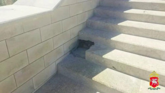 В Керчи осудят директора стройфирмы за аферу на 210 млн рублей при реставрации Митридатской лестницы