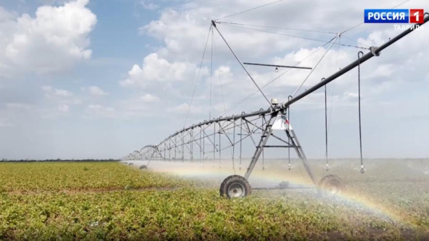 Аграрии Крыма увеличили урожай благодаря способам полива