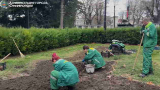 В Симферополе зимой готовятся к озеленению города
