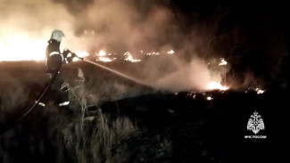 В Кировском районе горел камыш на площади 200 квадратных метров