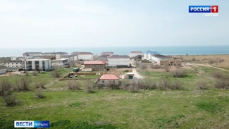 Бесплатные наделы земли в Крыму получили 750 участников СВО