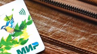 Правительство расширило список соцвыплат, которые поступают на карту «Мир»