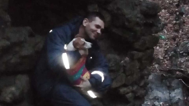 Шесть спасателей вызволяли собаку, провалившуюся в заброшенный водозабор возле Ялты