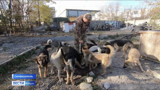 Крымчанин отправил свою дрессированную собаку в зону СВО