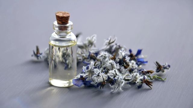Крым будет поставлять эфирные масла в ОАЭ