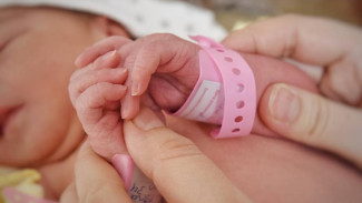 Сегодня 12 крымских семей стали многодетными