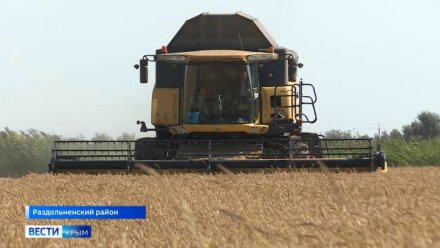 Площадь рисовых полей в Крыму увеличат на 700%