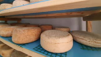 Производство сыров в Крыму увеличилось