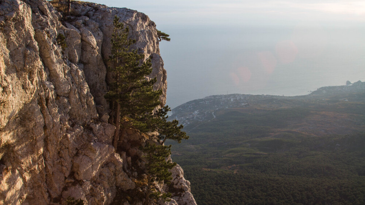 Спаса на горе тула. Гора Крыма спасение души. Гора спасения Калифорния.